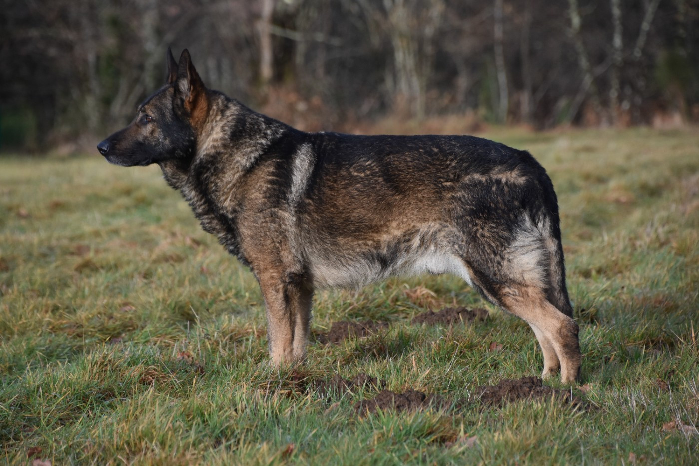 Vior del salto roldan