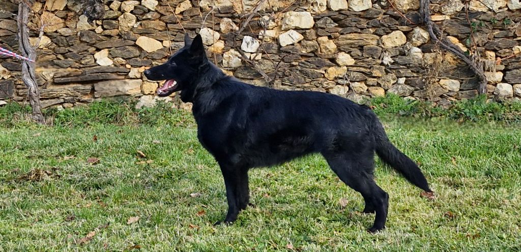 Ulka des trésors du maquis